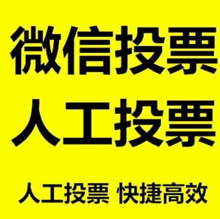 运城市投票活动拉票能被查出来吗？如何操作能不被发现？